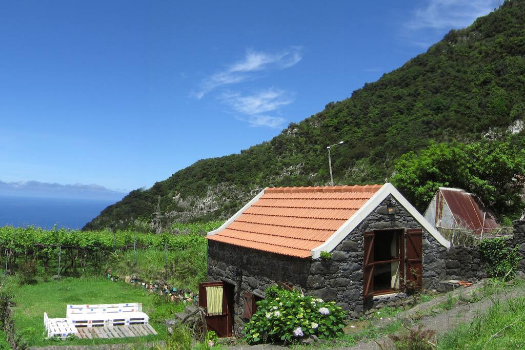 Vista