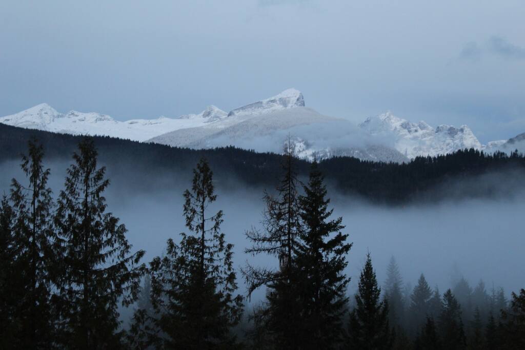The View from the front window.