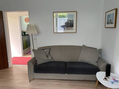 Newly renovated, central and quiet