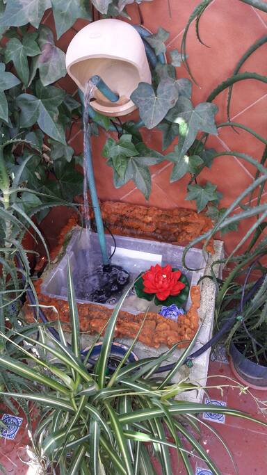 el frescor y el murmullo de la fuente en el patio....relax para tus sentidos