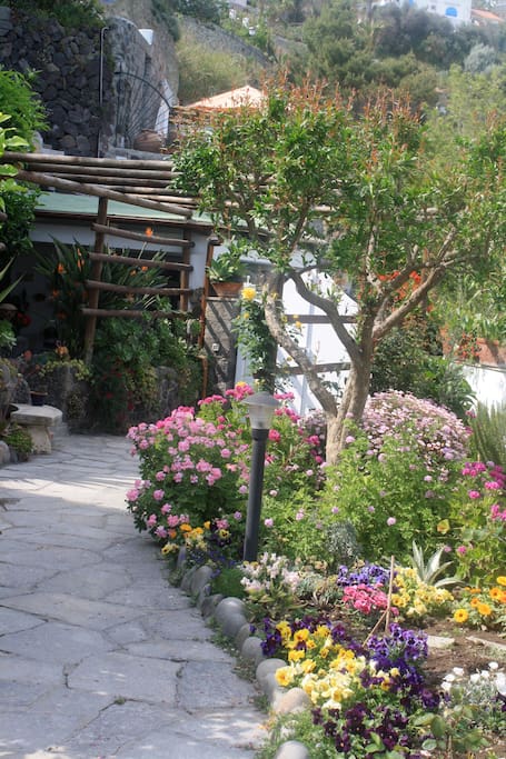 Viale fiorito di ingresso alla Villa Margherita