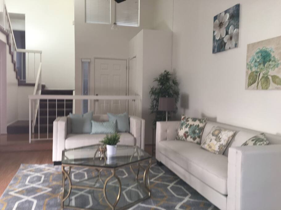 Living Room Area