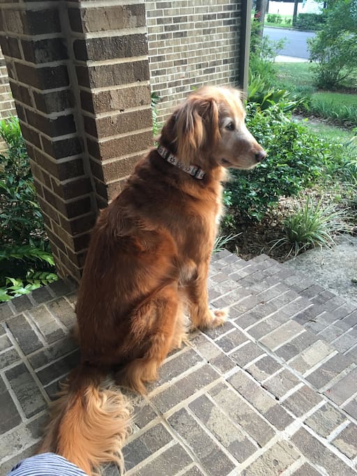 Libby on the front stoop.