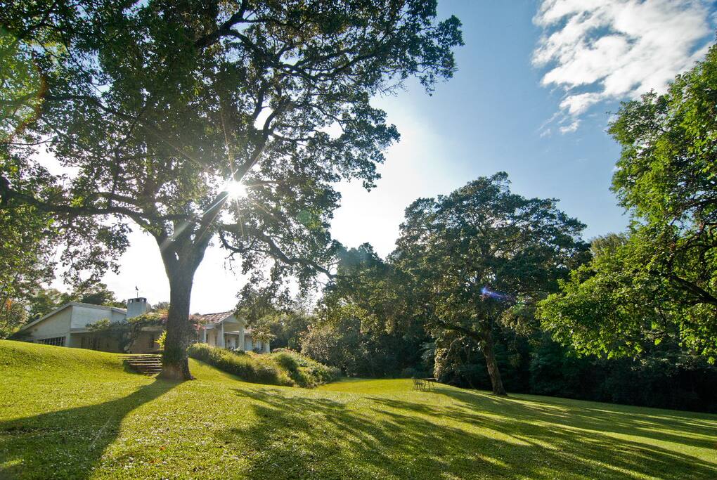 the house and garden