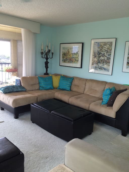 The larger sofa along the south wall of living area