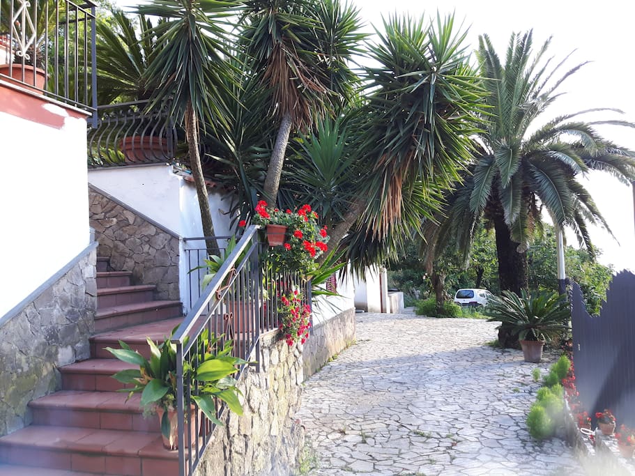 ...viale di ingresso indipendente, privato.
... independent and private access to the Villa.