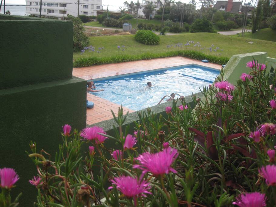 piscina vista desde el apartamento
