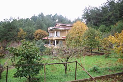 In the forest Mid of Istanbul