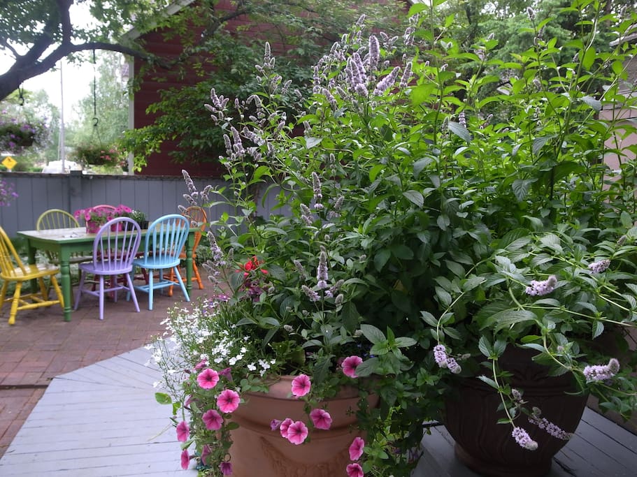 Garden Area