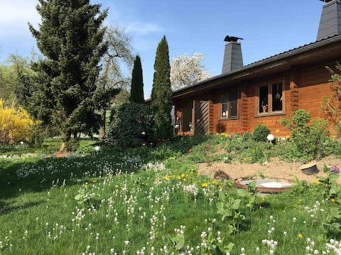 Popular Airbnb listing: Finn.Blockhaus Fewo Karin N.P.Kellerwald Edersee in Waldeck Frankenberg