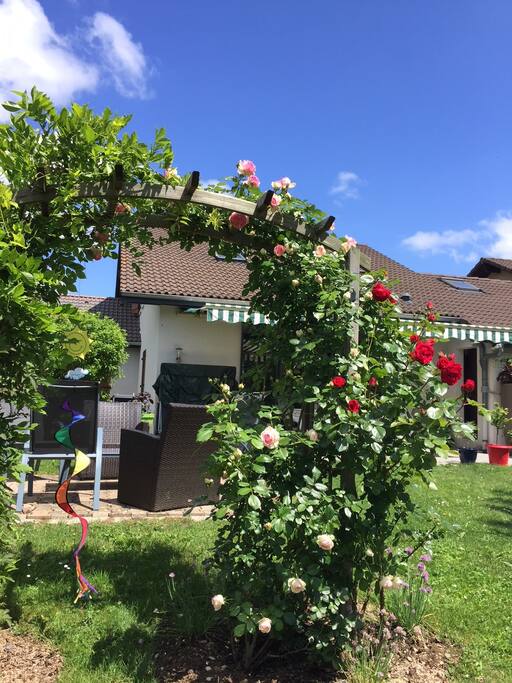 La tonnelle de roses