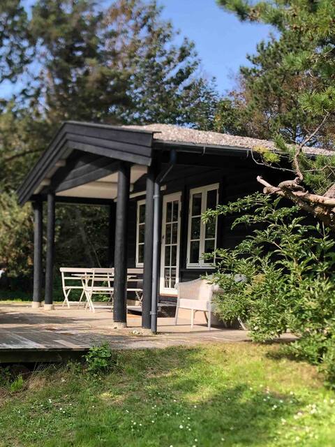 Cozy cottage near the water