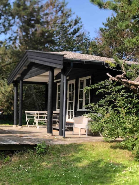 Cozy cottage near the water