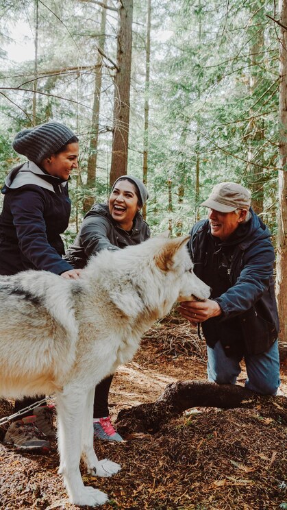 Показать полноэкранное фото от хозяина