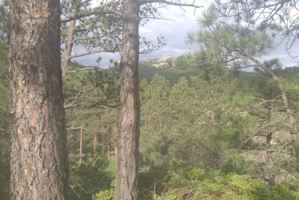 2 miles from Mt.Rushmore, next to Black Hills National forest, along the 1880 train route. We are at the top of the hill.