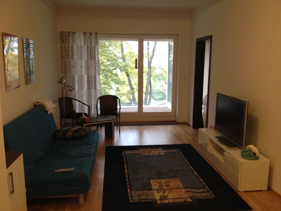 Living room and balcony