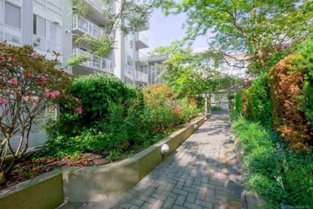 Beautiful Courtyard to stroll around