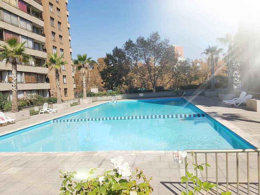 Vista desde la piscina al Parque Forestal.