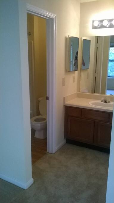 Bathroom Area