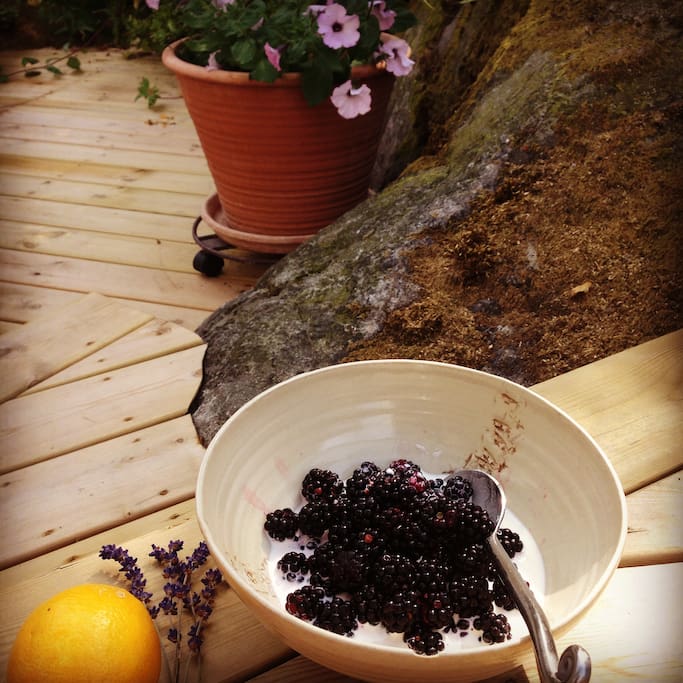 Berries