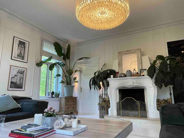 Exclusive historic big 150m2 parkfront in the city gallery image 3