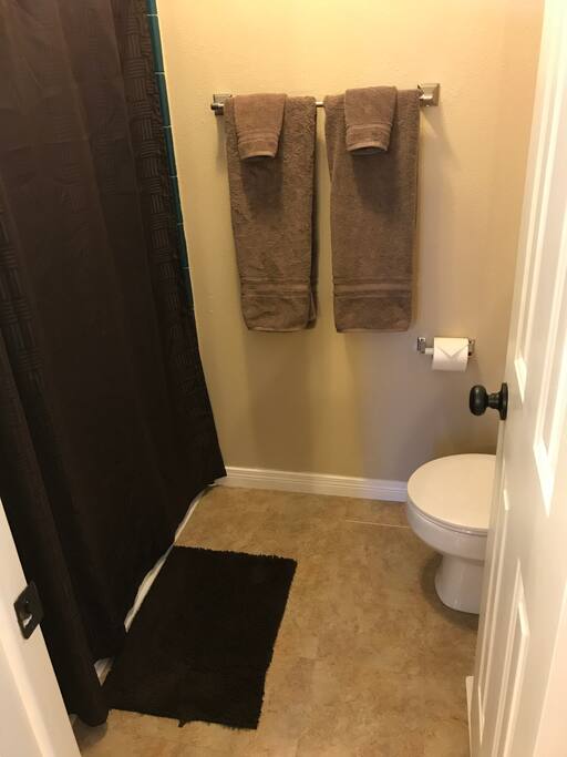 Master shower and toilet
