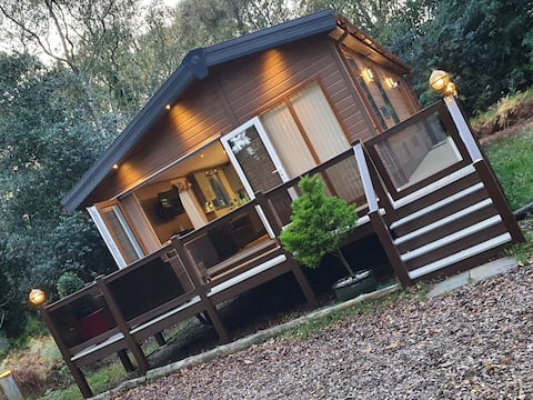 Luxury Woodland Lodge,Haven Wild Duck Holiday Park