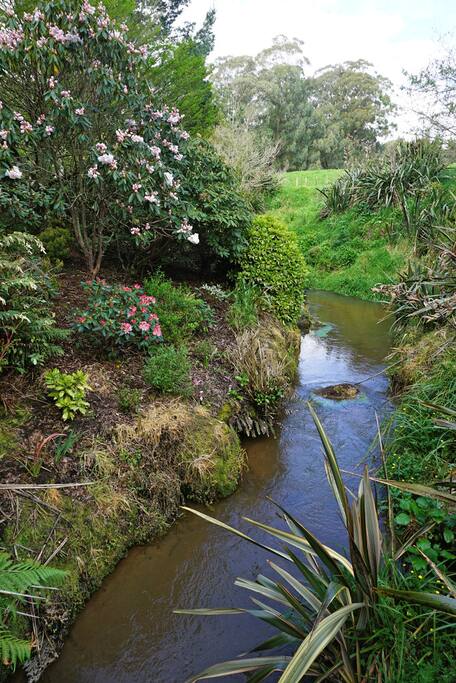 The OHUANUI Stream(means Full Moon)