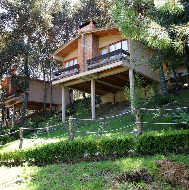 Two elegant cabins are nestled among lush greenery, elevated on stilts with wooden balconies. The natural landscape features trees and a neatly trimmed lawn, contributing to the serene atmosphere of the eco-friendly development.