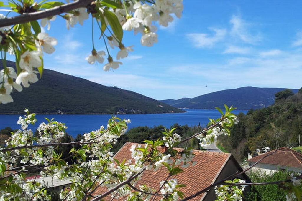 view