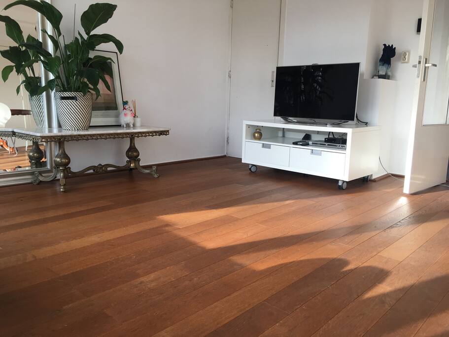 Shared living room