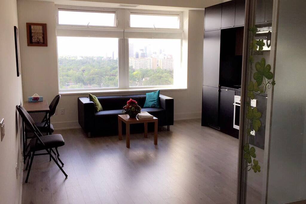 Living room with a bright view