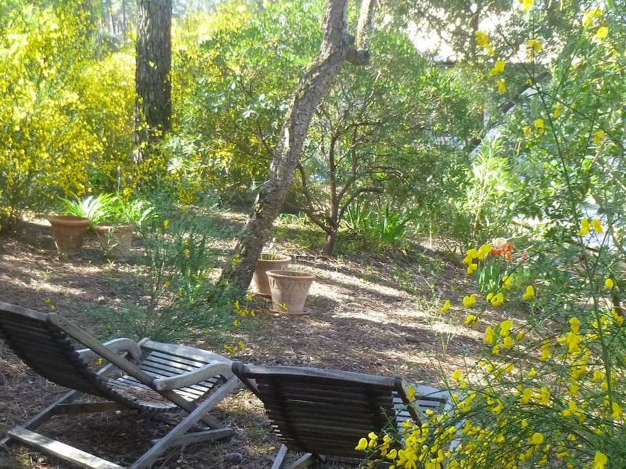 Son jardin