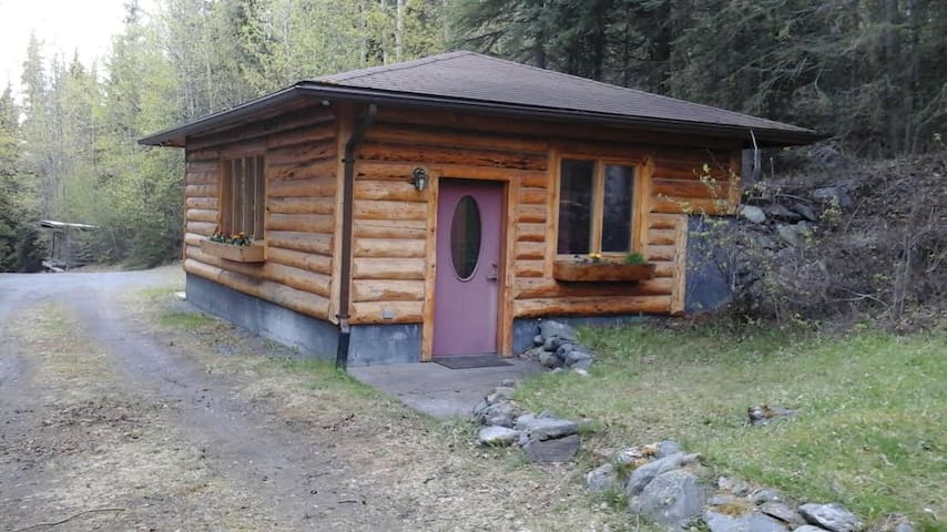 Airbnb Cooper Landing Vacation Rentals Places To Stay