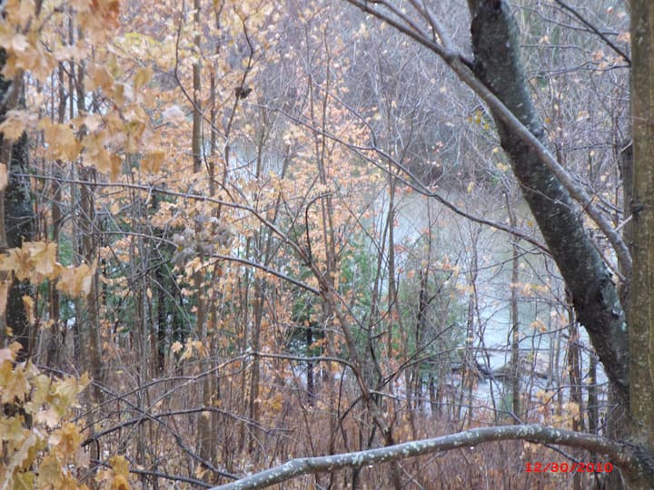 Manistee River cabin Cabins for Rent in Mesick, Michigan, United States