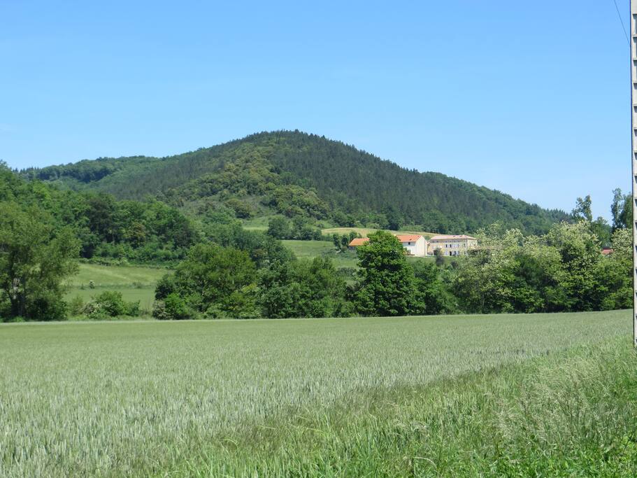 Le Cazal