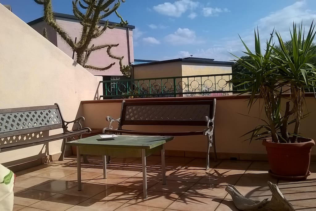 Terrace