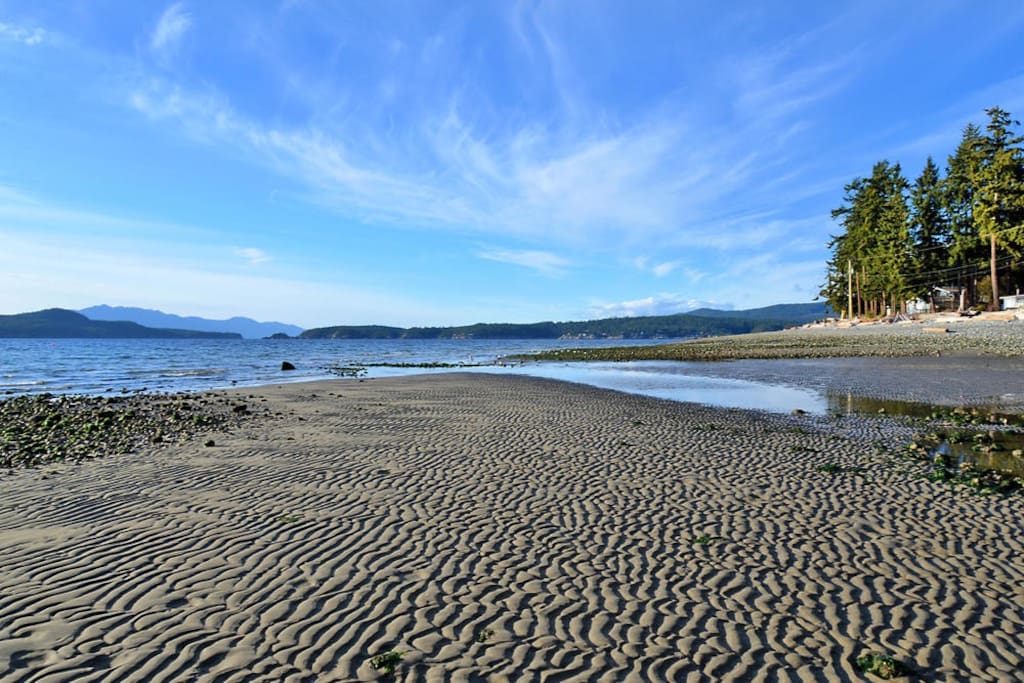 Sand Bar