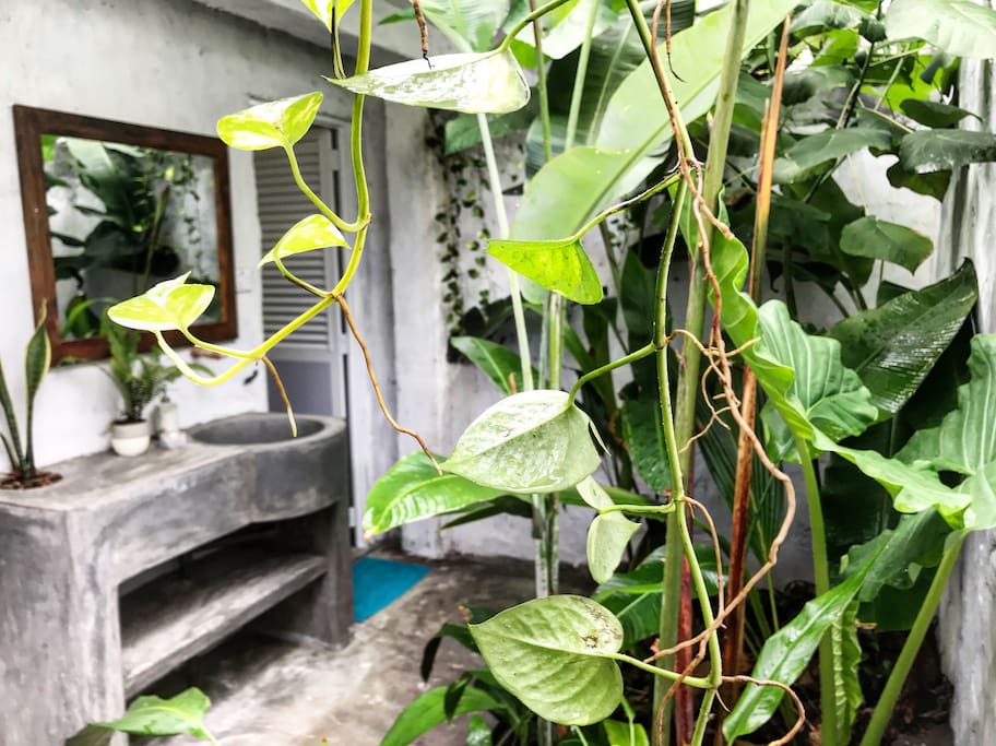 Tropical Garden Bathroom.