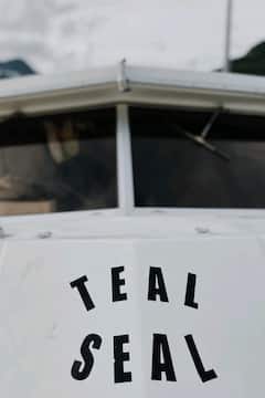 Teal+Seal