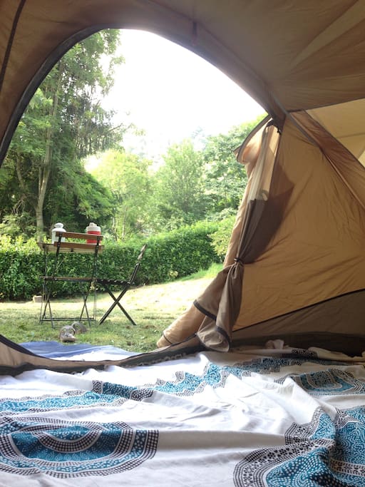 TENT inside