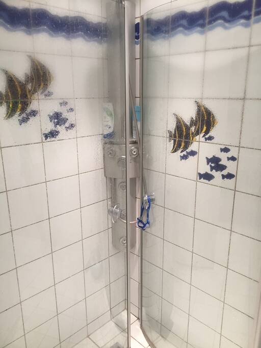 The shower