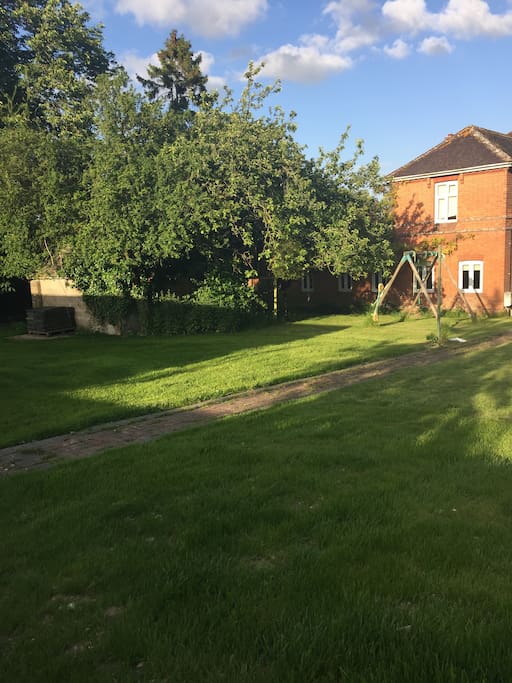 More garden