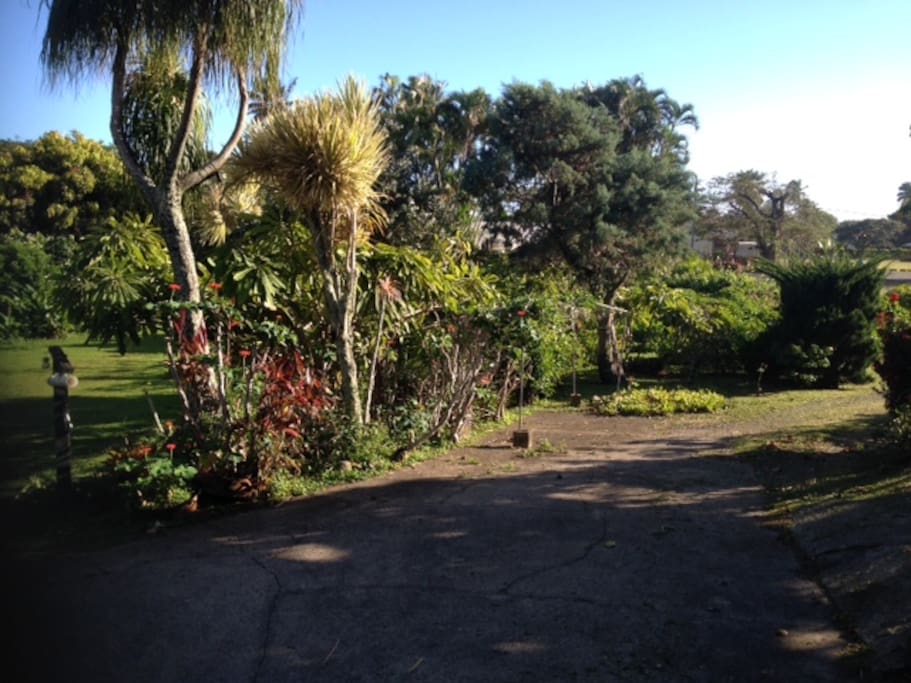 drive way