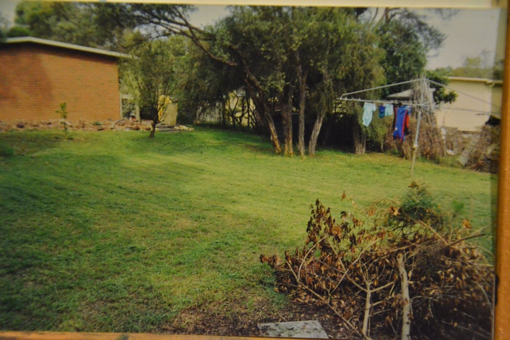 The backyard - big enough for any dog