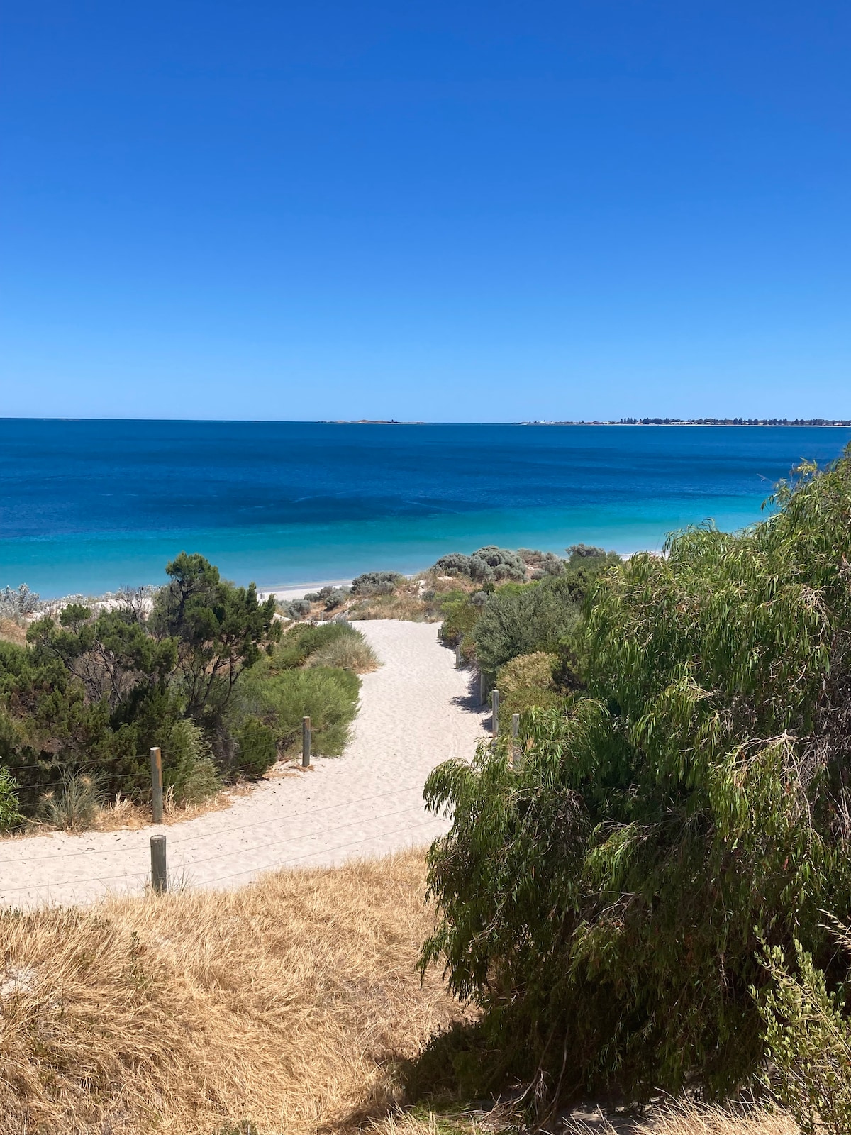A sandy path leads towards a serene beach, bordered by lush greenery and low shrubs. The vibrant blue ocean stretches beyond, meeting the clear sky. The scene captures a tranquil coastal atmosphere, inviting visitors to explore the natural beauty of the shoreline.