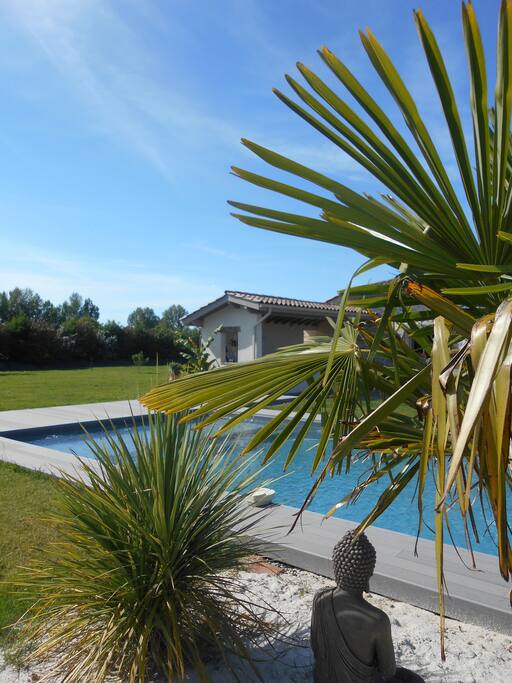 La piscine
