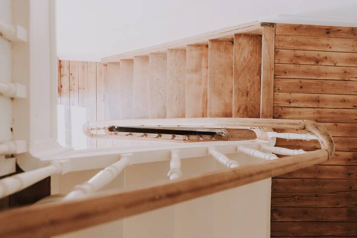 The Linden tree , Le Tilleul