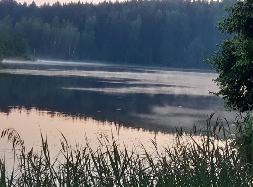 A serene lake is depicted, surrounded by lush greenery and trees. Morning mist hovers over the water's surface, creating a peaceful atmosphere. The reflective lake surface captures soft hues of early light, while tall grasses frame the foreground, enhancing the natural tranquility of the scene.