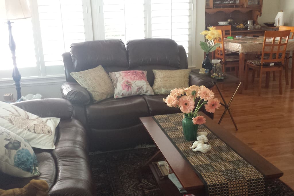 Living room sofas can be used by the guests!